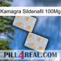 Kamagra Sildenafil 100Mg 25